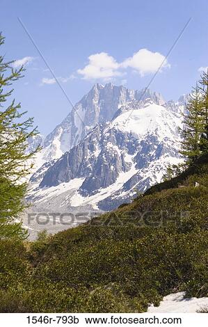 Stock Image - Mountain covered with snow, Grandes Jorasses, French Alps, France. Fotosearch