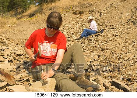 Paleontologist digging fossils, Stonerose Interpretive Center And Eocene Fossil Site, Republic, Washington State, USA View Large Photo Image Stock Photo - Paleontologist digging fossils, Stonerose Interpretive Center And Eocene Fossil Site, Republic, Washington State, USA. Fotosearch