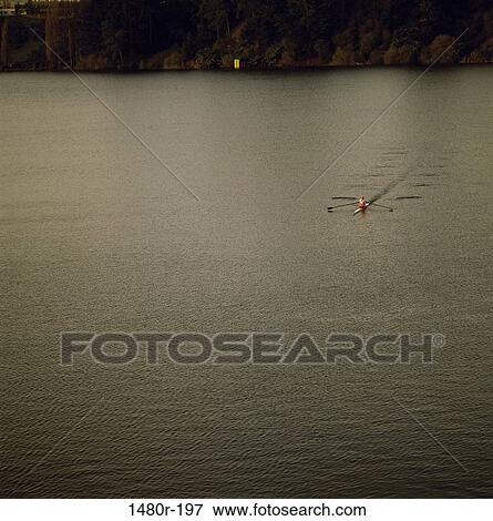 Person rowing in a lake View Large Photo Image Stock Photo - Person rowing in a lake. Fotosearch