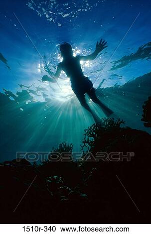 Person snorkeling underwater View Large Photo Image Stock Image - Person snorkeling underwater. Fotosearch