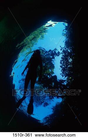 Person snorkeling underwater View Large Photo Image Stock Image - Person snorkeling underwater. Fotosearch