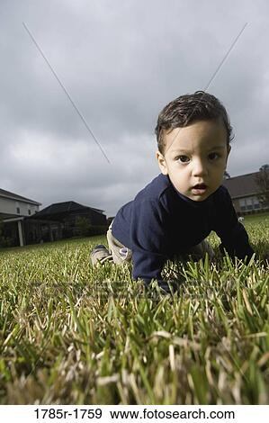 Portrait of a boy crawling on lawn View Large Photo Image Stock Photo - Portrait of a boy crawling on lawn. Fotosearch