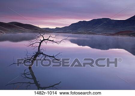 Reflection of a bare tree and hills in water, Painted Hills, John Day Fossil Beds National Park, Oregon, USA View Large Photo Image Picture - Reflection of a bare tree and hills in water, Painted Hills, John Day Fossil Beds National Park, Oregon, USA. Fotosearch