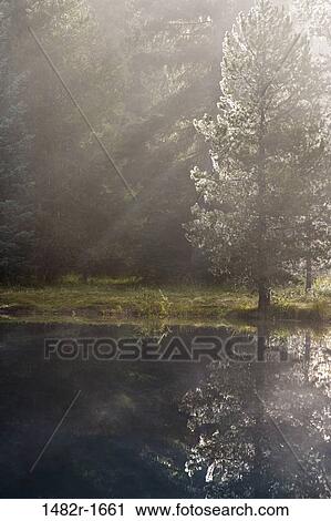 Reflection of trees in a lake, Little Crater Lake, Mount Hood National Park, Portland, Oregon, USA View Large Photo Image Stock Image - Reflection of trees in a lake, Little Crater Lake, Mount Hood National Park, Portland, Oregon, USA. Fotosearch