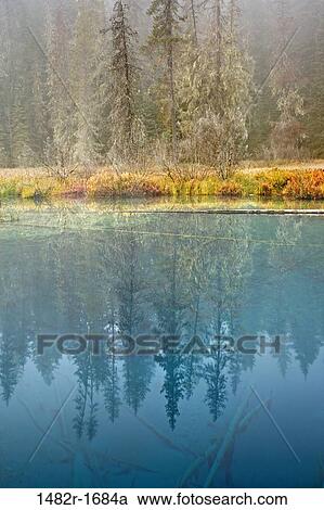 Reflection of trees in a lake, Little Crater Lake, Mount Hood National Park, Portland, Oregon, USA View Large Photo Image Stock Image - Reflection of trees in a lake, Little Crater Lake, Mount Hood National Park, Portland, Oregon, USA. Fotosearch