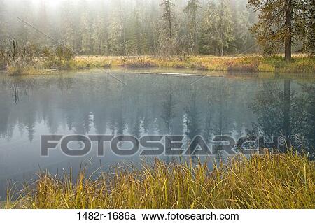 Reflection of trees in a lake, Little Crater Lake, Mount Hood National Park, Portland, Oregon, USA View Large Photo Image Stock Image - Reflection of trees in a lake, Little Crater Lake, Mount Hood National Park, Portland, Oregon, USA. Fotosearch