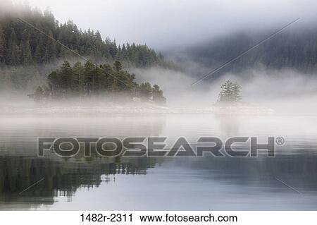 Reflection of trees in water during fog, Great Bear Rainforest, British Columbia, Canada View Large Photo Image Stock Image - Reflection of trees in water during fog, Great Bear Rainforest, British Columbia, Canada. Fotosearch