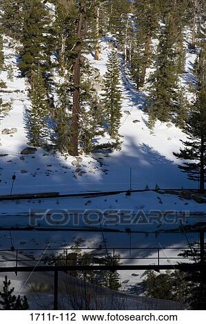 Reflection of trees in water, Heavenly Mountain, Lake Tahoe, California, USA View Large Photo Image Stock Image - Reflection of trees in water, Heavenly Mountain, Lake Tahoe, California, USA. Fotosearch