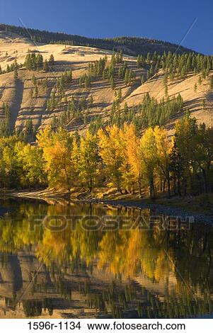 Reflection of trees in water, Kettle River, Ferry County, Washington State, USA View Large Photo Image Picture - Reflection of trees in water, Kettle River, Ferry County, Washington State, USA. Fotosearch