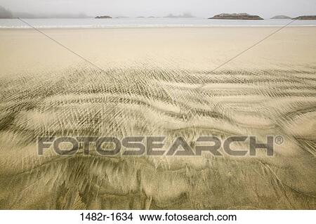 Rippled pattern in sand on the beach, Inside Passage, Sandy Beach, British Columbia, Canada View Large Photo Image Picture - Rippled pattern in sand on the beach, Inside Passage, Sandy Beach, British Columbia, Canada. Fotosearch