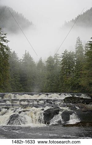 River flowing in a forest, Canoona River, Princess Royal Island, British Columbia, Canada View Large Photo Image Stock Image - River flowing in a forest, Canoona River, Princess Royal Island, British Columbia, Canada. Fotosearch