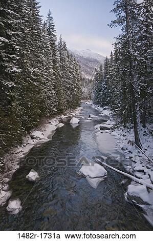 River flowing through a forest, Leavenworth, Icicle Creek, Washington State, USA View Large Photo Image Stock Image - River flowing through a forest, Leavenworth, Icicle Creek, Washington State, USA. Fotosearch