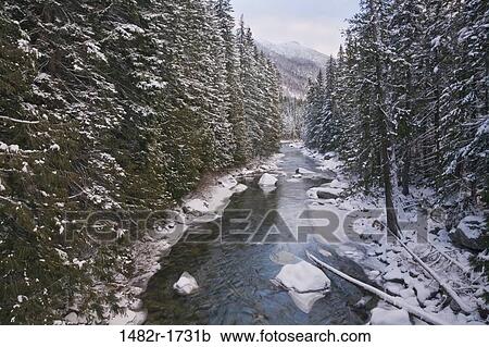 River flowing through a forest, Leavenworth, Icicle Creek, Washington State, USA View Large Photo Image Stock Image - River flowing through a forest, Leavenworth, Icicle Creek, Washington State, USA. Fotosearch