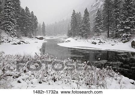 River flowing through a forest, Wenatchee River, Leavenworth, Washington State, USA View Large Photo Image Stock Image - River flowing through a forest, Wenatchee River, Leavenworth, Washington State, USA. Fotosearch