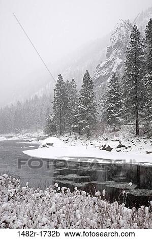River flowing through a forest, Wenatchee River, Leavenworth, Washington State, USA View Large Photo Image Stock Image - River flowing through a forest, Wenatchee River, Leavenworth, Washington State, USA. Fotosearch