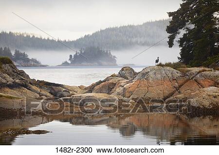 Rock formations in a strait, Village Island, British Columbia, Canada View Large Photo Image Stock Image - Rock formations in a strait, Village Island, British Columbia, Canada. Fotosearch