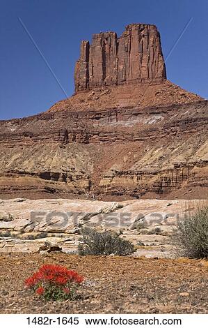 Rock formations on a landscape, Canyonlands National Park, Utah, USA View Large Photo Image Stock Photography - Rock formations on a landscape, Canyonlands National Park, Utah, USA. Fotosearch