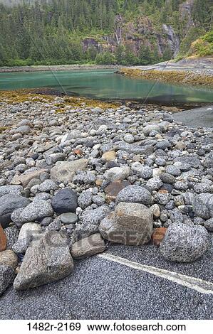 Rocks on the beach, Endicott Arm, Alaska, USA View Large Photo Image Stock Photo - Rocks on the beach, Endicott Arm, Alaska, USA. Fotosearch
