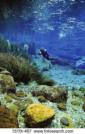 Scuba diver swimming underwater View Large Photo Image Stock Photo - Scuba diver swimming underwater. Fotosearch