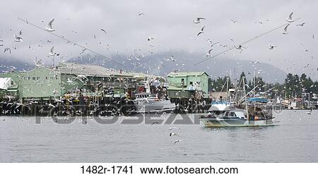 Stock Image - Seagulls flying over a fishing boat in the sea, Petersburg, Alaska, USA. Fotosearch