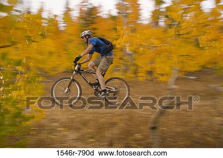Side profile of a man mountain biking in a forest, Lake Tahoe, California, USA View Large Photo Image Stock Image - Side profile of a man mountain biking in a forest, Lake Tahoe, California, USA. Fotosearch