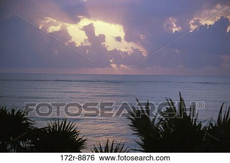 Silhouette of trees during sunset, Yucatan, Mexico View Large Photo Image Stock Photograph - Silhouette of trees during sunset, Yucatan, Mexico. Fotosearch