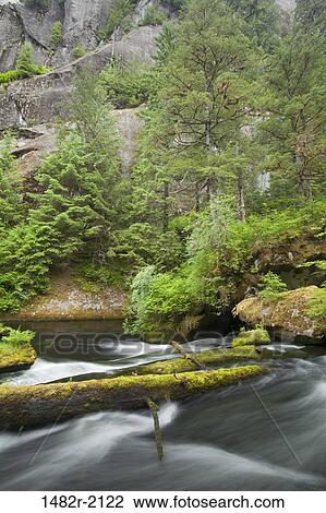 Trees at the lakeside, Punchbowl Lake, Misty Fiords National Monument, Alaska, USA View Large Photo Image Stock Image - Trees at the lakeside, Punchbowl Lake, Misty Fiords National Monument, Alaska, USA. Fotosearch