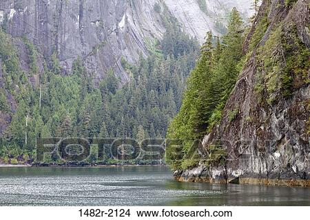 Trees in a forest at the lakeside, Rudyerd Bay, Misty Fiords National Monument, Alaska, USA View Large Photo Image Picture - Trees in a forest at the lakeside, Rudyerd Bay, Misty Fiords National Monument, Alaska, USA. Fotosearch