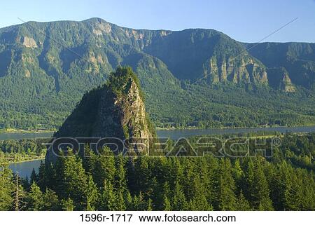 Trees in a forest, Beacon Rock, Little Beacon Rock, Beacon Rock State Park, Columbia River Gorge, Washington State, USA View Large Photo Image Stock Photo - Trees in a forest, Beacon Rock, Little Beacon Rock, Beacon Rock State Park, Columbia River Gorge, Washington State, USA. Fotosearch