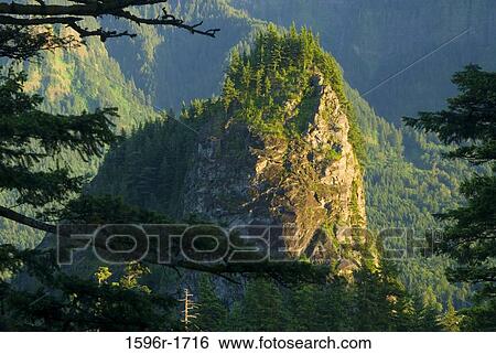Stock Photograph - Trees on mountains, Beacon Rock, Little Beacon Rock, Beacon Rock State Park, Columbia River Gorge, Washington State, USA. Fotosearch