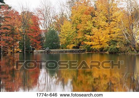 USA, New Hampshire, Fall trees surrounding Ossipee Lake View Large Photo Image Stock Photograph - USA, New Hampshire, Fall trees surrounding Ossipee Lake. Fotosearch