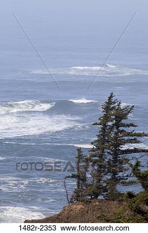 USA, Oregon, Cape Arago, Seascape with trees on cliff in foreground View Large Photo Image Stock Image - USA, Oregon, Cape Arago, Seascape with trees on cliff in foreground. Fotosearch