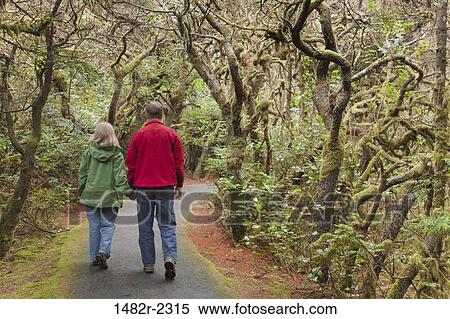 Stock Photography - USA, Oregon, Carl G. Washburne Memorial State Park, Couple walking on trail to beach. Fotosearch