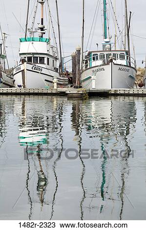 Stock Image - USA, Oregon, Charleston, Fishing boats in harbor. Fotosearch