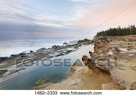 Stock Image - USA, Oregon, Shore Acres State Park, Rocky coastline. Fotosearch