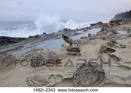 Stock Image - USA, Oregon, Shore Acres State Park, Rocky coastline. Fotosearch