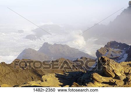 Stock Image - USA, Oregon, Shore Acres State Park, Rocky coastline. Fotosearch
