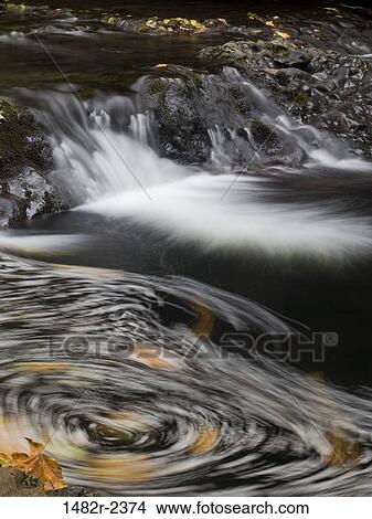 USA, Oregon, Silverfalls State Park, Waterfall View Large Photo Image Picture - USA, Oregon, Silverfalls State Park, Waterfall. Fotosearch