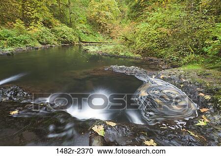 Stock Image - USA, Oregon, Silverfalls State Park. Fotosearch