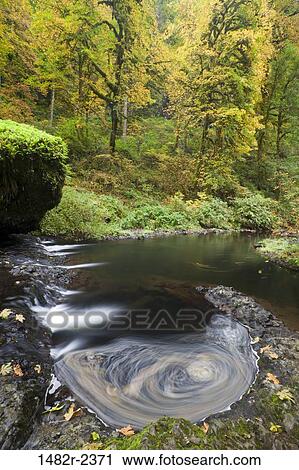 Stock Image - USA, Oregon, Silverfalls State Park. Fotosearch