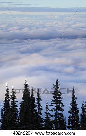 Stock Photo - USA, Washington, Olympic National Park, landscape with clouds. Fotosearch