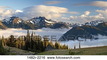 USA; Washington; Olympic National Park; Deer Park area, panorama, high resolution View Large Photo Image Stock Photograph - USA; Washington; Olympic National Park; Deer Park area, panorama, high resolution. Fotosearch
