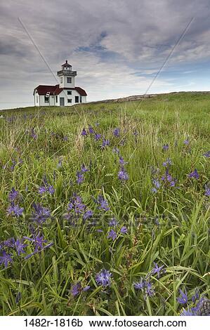 USA, Washington, San Juan Islands, Patos Island Lighthouse View Large Photo Image Stock Image - USA, Washington, San Juan Islands, Patos Island Lighthouse. Fotosearch