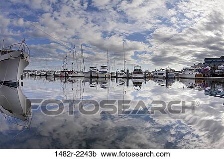 USA, Washington State, Bremerton Marina View Large Photo Image Stock Image - USA, Washington State, Bremerton Marina. Fotosearch