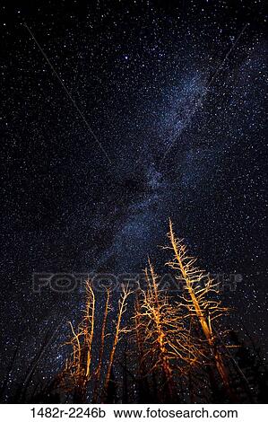 USA, Washington State, Olympic National Park, Deer Park area, night sky View Large Photo Image Stock Image - USA, Washington State, Olympic National Park, Deer Park area, night sky. Fotosearch