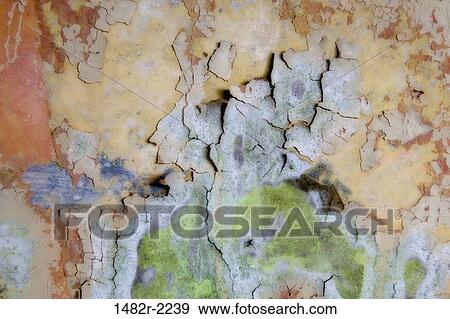 USA, Washington State, Salt Creek County Park, Tongue Point, abstract details in walls of bunker at Fort Hayden View Large Photo Image Stock Photo - USA, Washington State, Salt Creek County Park, Tongue Point, abstract details in walls of bunker at Fort Hayden. Fotosearch