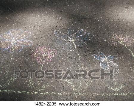 USA, Washington State, Scenic Beach State Park, chalk drawings of flowers on asphalt View Large Photo Image Stock Photography - USA, Washington State, Scenic Beach State Park, chalk drawings of flowers on asphalt. Fotosearch