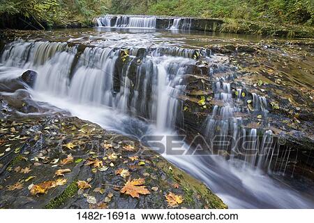 Waterfall in a forest, Sweet Creek Falls, Oregon, USA View Large Photo Image Stock Image - Waterfall in a forest, Sweet Creek Falls, Oregon, USA. Fotosearch