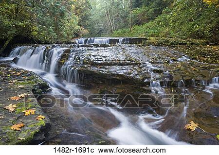 Waterfall in a forest, Sweet Creek Falls, Oregon, USA View Large Photo Image Stock Image - Waterfall in a forest, Sweet Creek Falls, Oregon, USA. Fotosearch