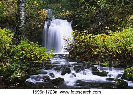 Waterfall in a forest, Twin Falls, Gifford Pinchot National Forest, Washington State, USA View Large Photo Image Stock Image - Waterfall in a forest, Twin Falls, Gifford Pinchot National Forest, Washington State, USA. Fotosearch